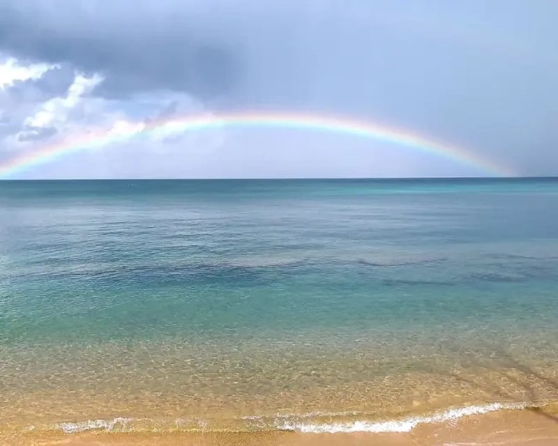 Private Green Beach Snorkeling Tour in Vieques