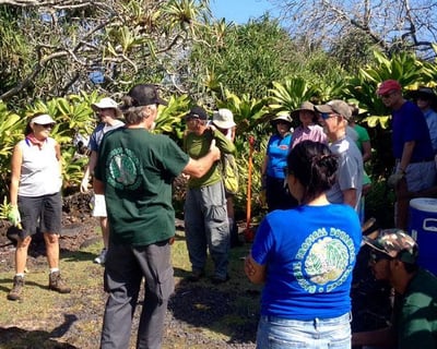 Guided Garden Tour in Hāna