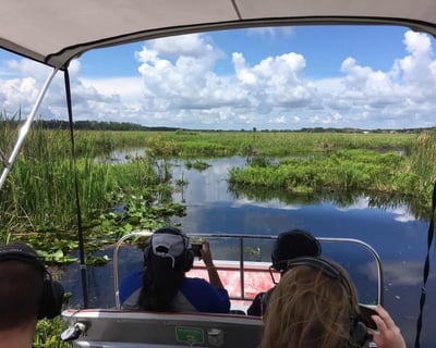 Explore Florida Swamps on a 1-Hour Airboat Tour