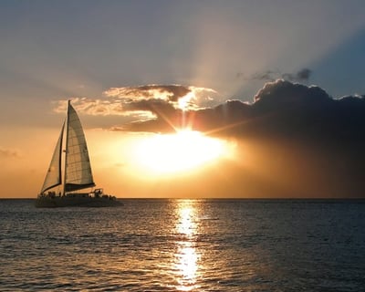 Adult Sunset Whale Watch Sail