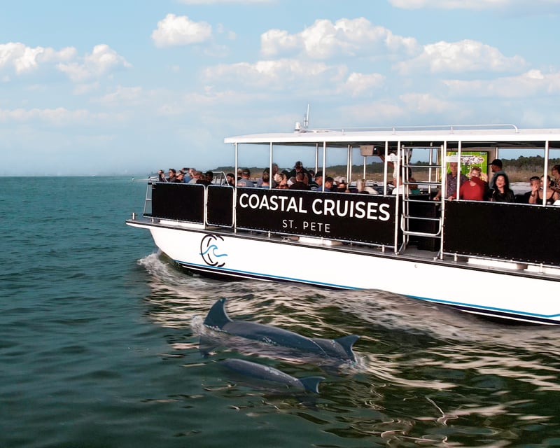 Dolphin Watching & Island Shelling Cruise in St. Petersburg