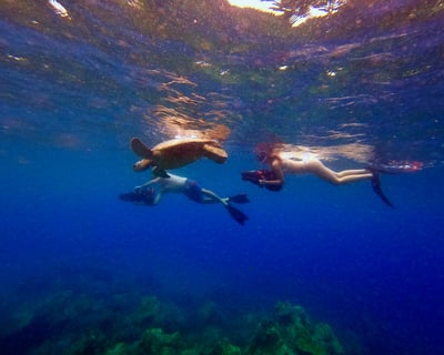 Guided Sea Scooter Snorkel & Turtle Guarantee