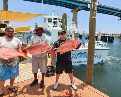 8-Hour Fishing Trip in Pensacola