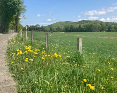 Vermont Covered Bridge Bike Tour with Swimming