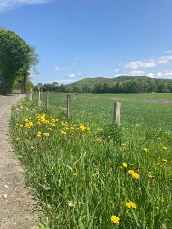 Vermont Covered Bridge Bike Tour with Swimming