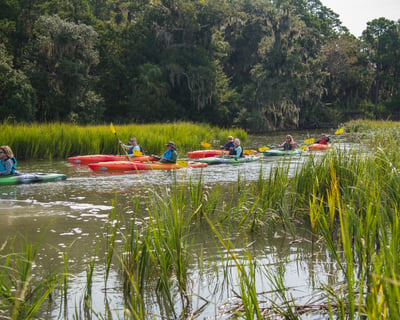 Kayak & Boat Tour to Page Island From Hilton Head