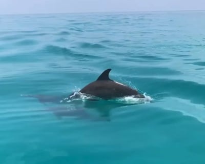 Cruise Key West on a Private Morning Tiki Boat