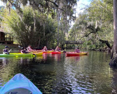 Kissimmee Cypress Forest Kayak Tour with Guide