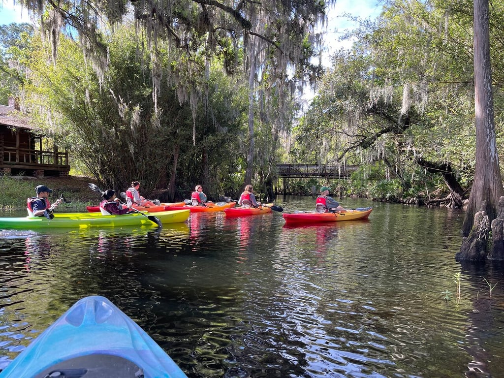 Kissimmee Cypress Forest Kayak Tour with Guide