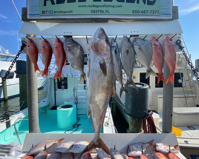 Destin 5-Hour Deep Sea Fishing Charter