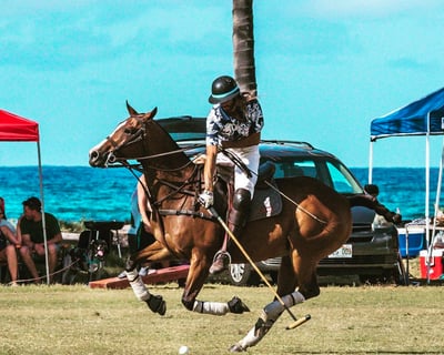 1-Hour Polo & Riding Lesson on Oahu's North Shore