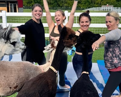 Alpaca & Goat Yoga in River Falls, WI
