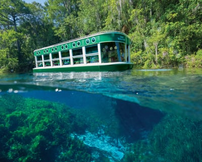 30-Minute Silver Springs State Park Glass Bottom Boat Tour