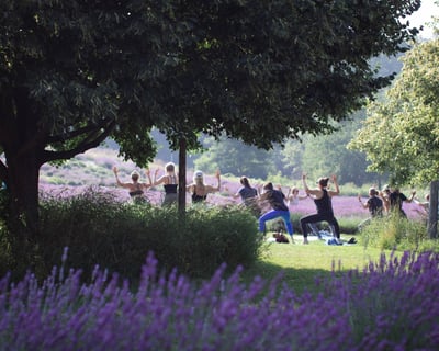 Yoga Class With Sound Bath in Boyne City