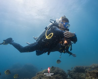 2-Tank Morning Dive in Papagayo Gulf