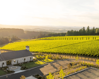 Truffle Foraging Tour in Oregon Wine Country
