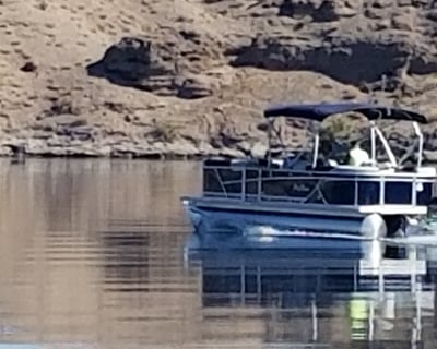25' Tritoon Boat Rental in Willow Beach