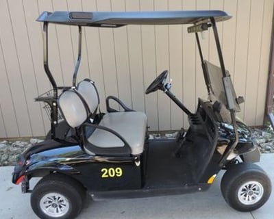Put-in-Bay Full-Day Golf Cart Rental
