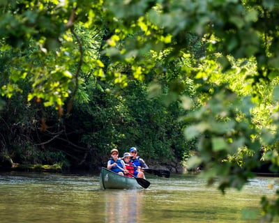 Self-Guided 3-Hour Paddle on the French Broad River