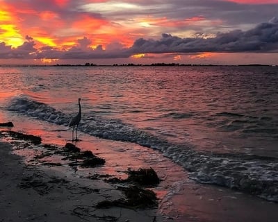 Fort Myers Beach Sunset Cruise