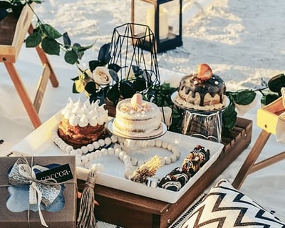 Romantic Picnic in Sarasota