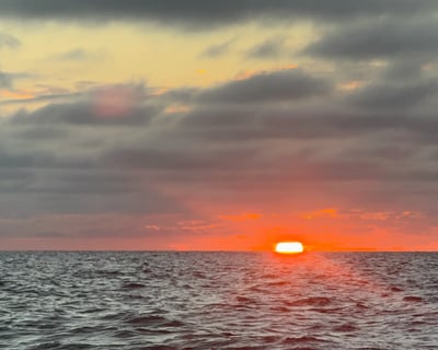 6-Hour Lobstering Charter in Marathon