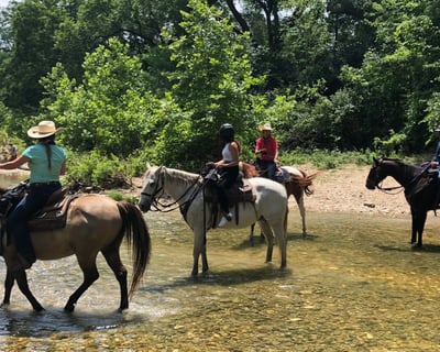 Ride a Morning Horseback Trail Lesson in Austin