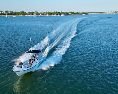 Private Beaufort River Tour with Dolphin Spotting