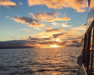 Sunset Whale Watch Sail from Ma‘alaea Harbor
