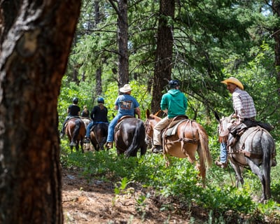 2.5-3 Hour Horseback Ride in Durango
