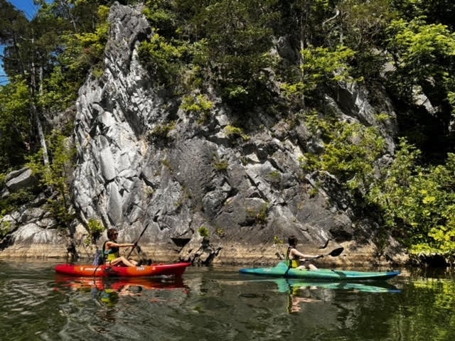 Shenandoah River Kayak & SUP Rental (8 Hours)