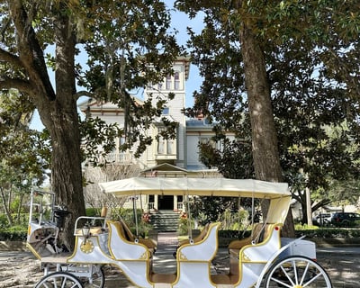 Electric Carriage Holiday Lights Ride