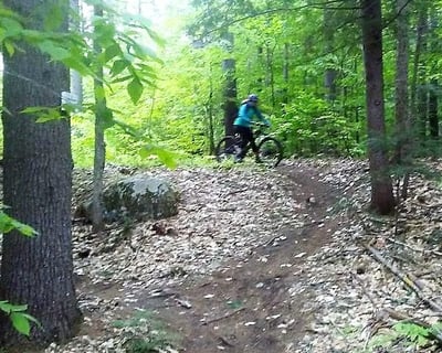 Back Roads Bicycle Tour & Lesson in Freedom