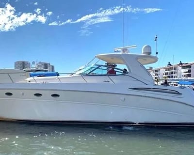 4-8 Hour Private Yacht Charter in Puerto Vallarta