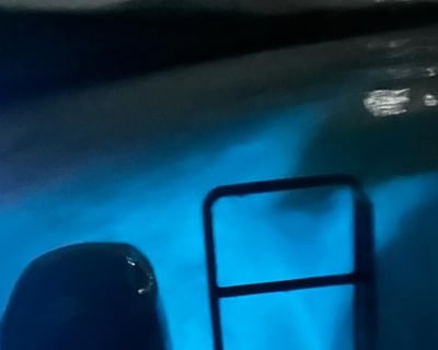 Bioluminescent Bay Cruise in La Parguera