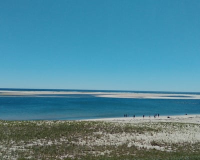 Nauset Beachcomber 3-Hour Private Charter