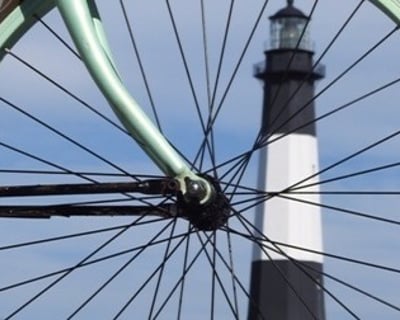 Tybee Beach Cruiser Delivered Free to Your Door