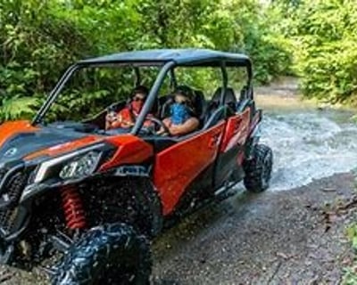 1-Hour El Yunque UTV Tour