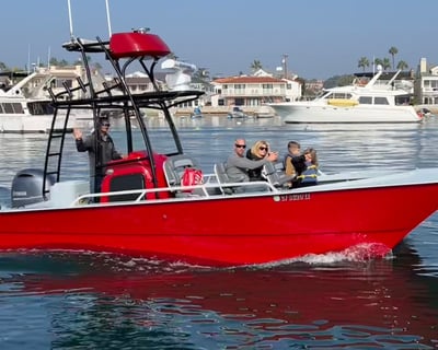 Whale Watching Newport Beach Small Group Tour