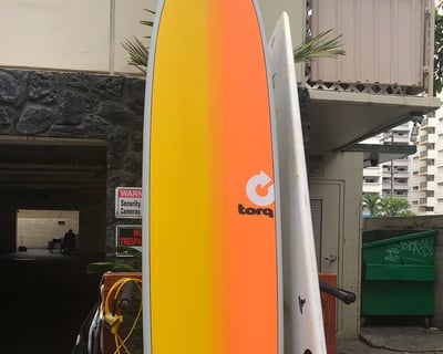 Paddle Waikiki's Calm Waters & Spot Sea Turtles