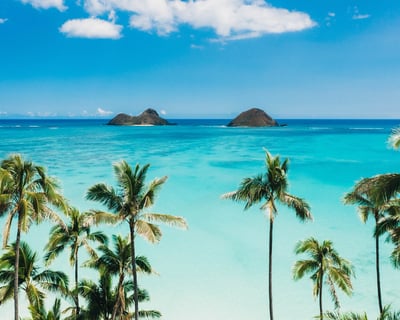 Kayak, SUP & Cleanup in Kailua Bay