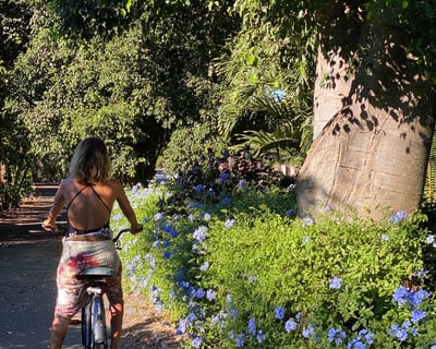 North Shore Tour with Water Activities from Ko Olina