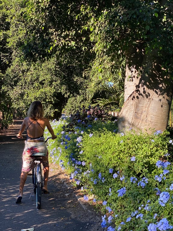 North Shore Tour From Ko Olina