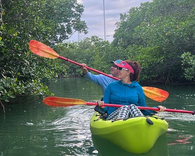 Key West Mangrove Maze Kayak Rental