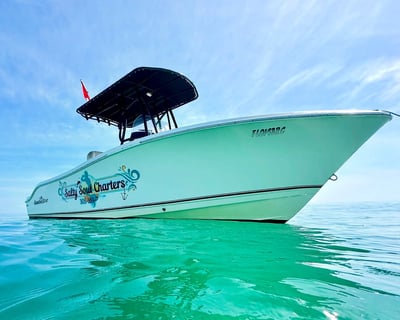 Stock Island Private Snorkeling & Dolphin Trip