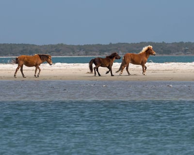 Beaufort Ferry to Cape Lookout Lighthouse