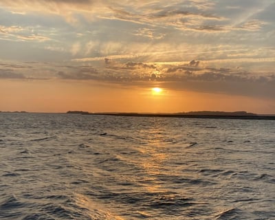 Private Sunset Dolphin Cruise on Hilton Head