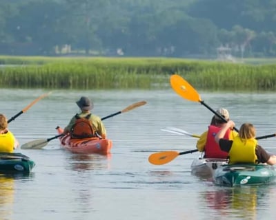Guided 2Hr May River Kayak & Wildlife Paddle