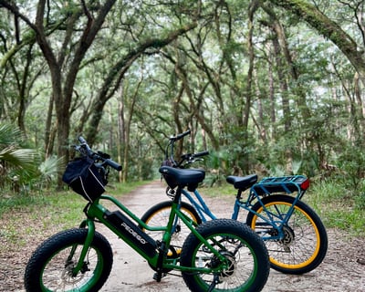 Explore Palmetto Bluff Nature & History by eBike
