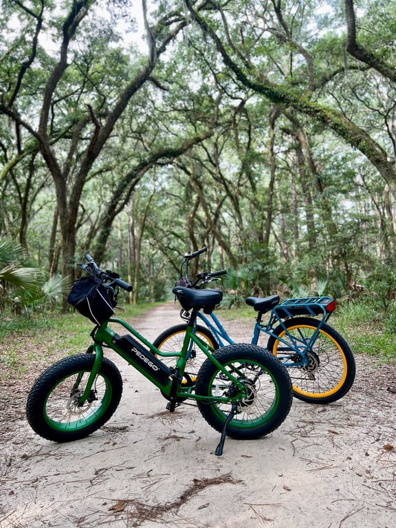 Palmetto Bluff Pedego Electric Bike Tour
